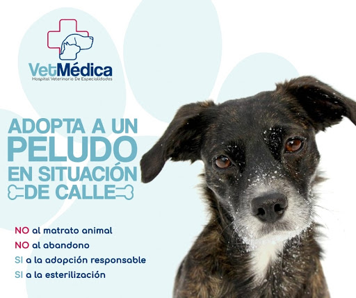 VetMédica