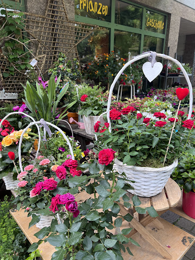 Sonnenblumenwerkstatt - Visual