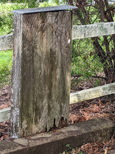 Francis Lookout - Thumbnail