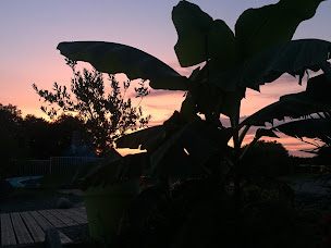 Photo n°47 de PARC DE LA CHESNAIE à Autruy-sur-Juine (Snack)