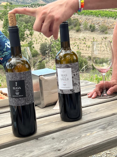 Devinssi Winery - Thumbnail