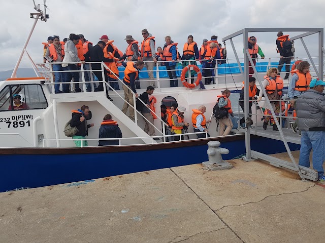 Hermanus Whale Cruises