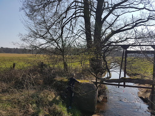 Haberlands Bach - Thumbnail