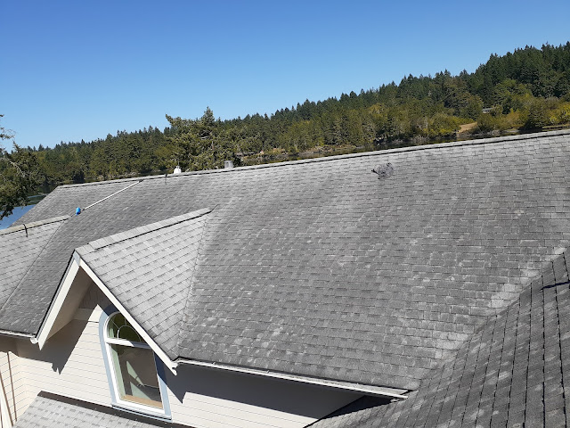 View of Exterior Shine in  - Top-rated Gutter Cleaning Service nearby.