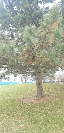 Townsend Hall - University at Buffalo - Thumbnail