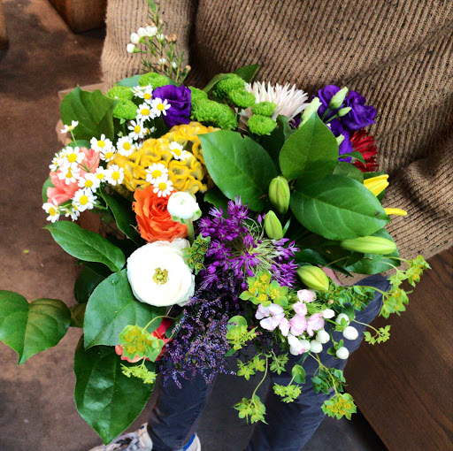 Bloombox - Thumbnail