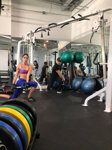 ZZOFit
