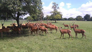 Photo n°4 de Ferme de Villaine à Baugé-en-Anjou (Éleveur)