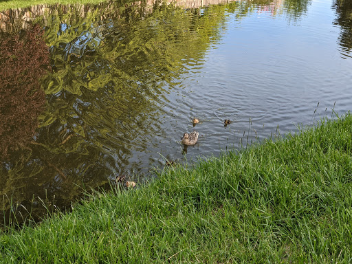 Periwinkle Park - Visual