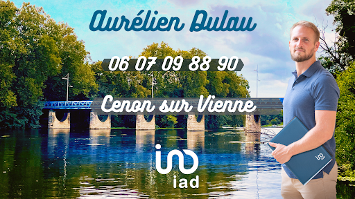 Aurélien DULAU - Conseiller Immobilier