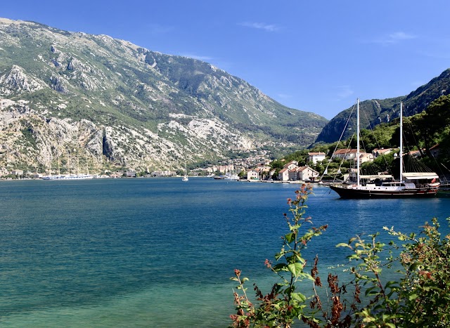 Kotor