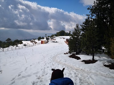 Uludağ Kamping - Dağdibi Köyü/Keles