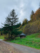 photo de Haus Limberg - Andrea Geiger à Münstertal