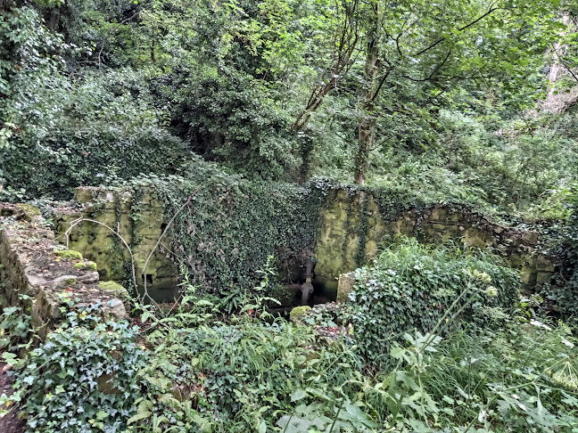 Comments and reviews of Sprotbrough Lock
