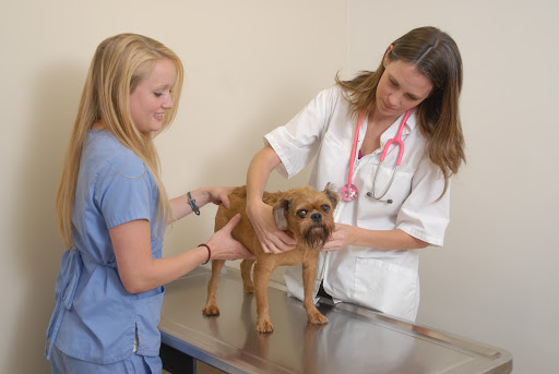 Peachtree Corners Animal Clinic