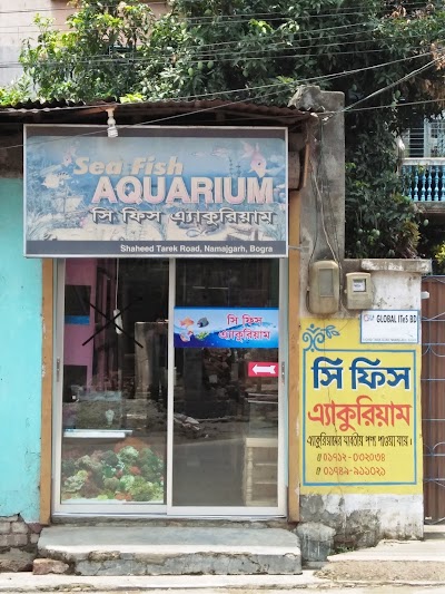 Photos of Sea Fish Aquarium