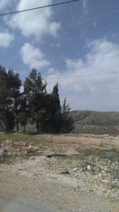 Photos of Ali bn Abitaleb Mosque مسجد علي بن ابي طالب