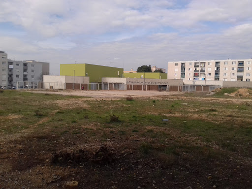 Inter-School Music Petite Camargue - Thumbnail
