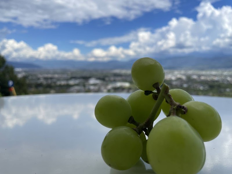 塚原山フルーツ農場