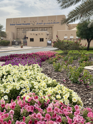 Reviews of Dubai Camel Hospital in Dubai - Other