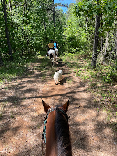 Barnyard Friends & Stables - Thumbnail