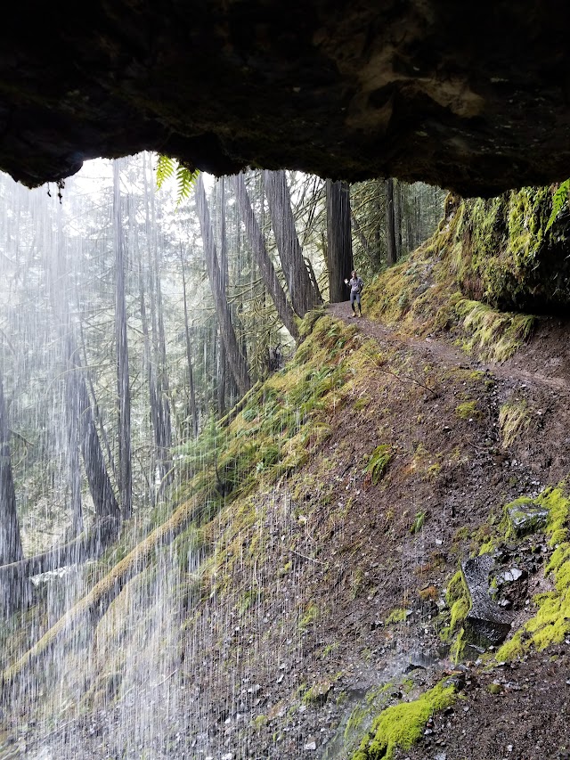 Pup Creek Waterfall