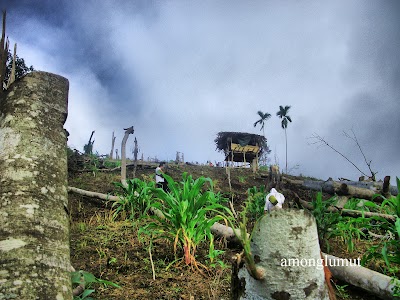 Photos of Gunung Lumut