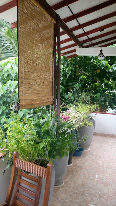 Photos of Hansa Villa