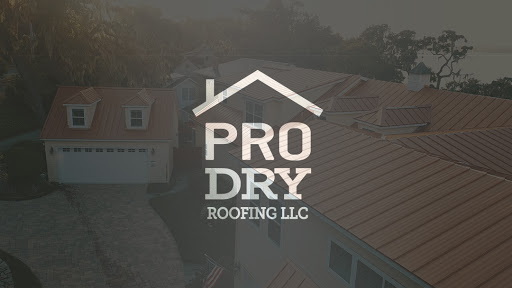 PRO Dry Roofing - Visual
