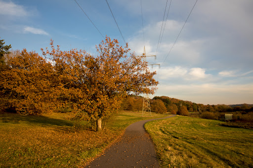 Eulenmühle, Naturerlebnispfad (START) - Thumbnail