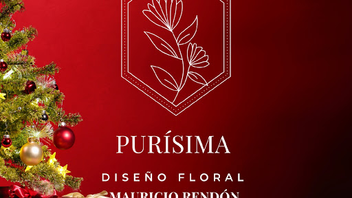 Purísima - Visual