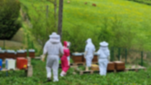 Photo n°13 de MIEL ET UNE RUCHE - Boutique d'apiculture, Vente matériel & Miel , parrainage de ruche à Montauville (Magasin)