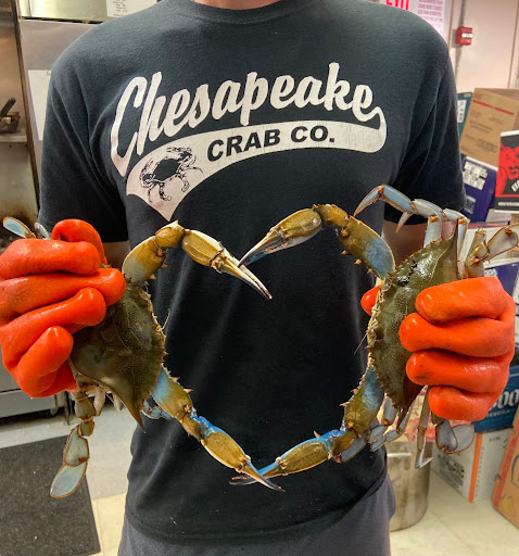 Chesapeake Crab Company - Thumbnail