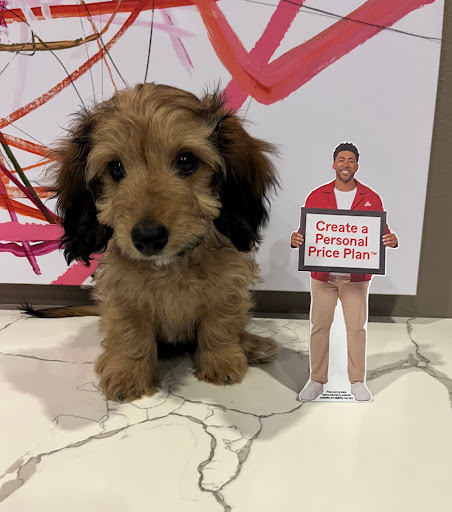 Mike Parvis - State Farm Insurance Agent Gallery - United States