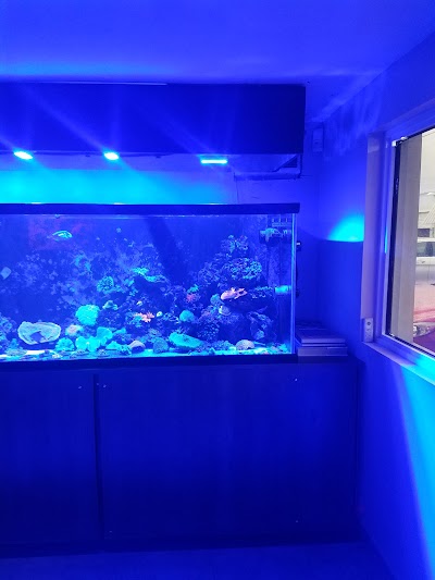 Hydra Aquatics International