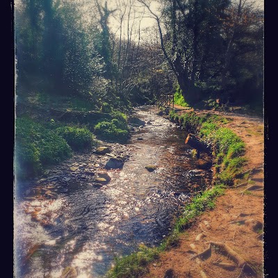 Photos of Groudle Glen