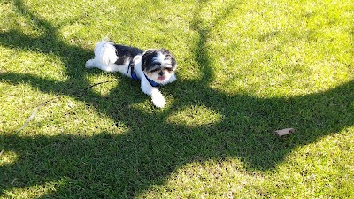 Photos of Esdras Park