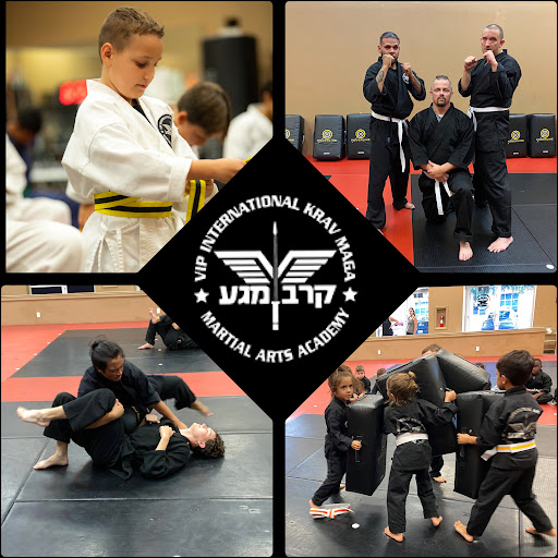 VIP International Krav Maga & Martial Arts Academy - Thumbnail