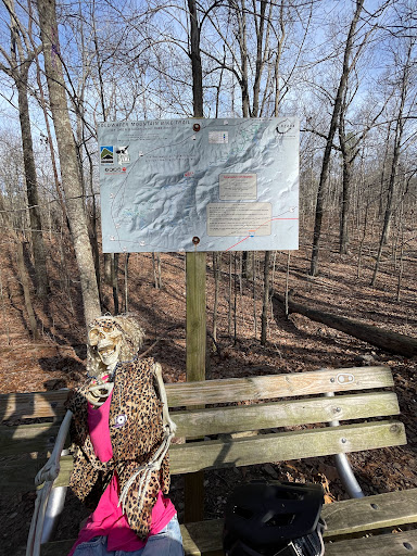 Coldwater Mountain Bike Trails, Anniston Trailhead Gallery - United States