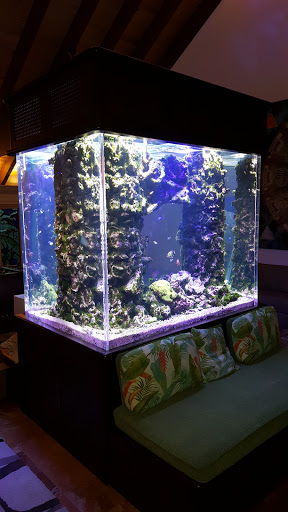 Aquatic N Exotic Inc. - Thumbnail