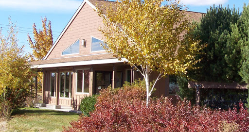 Pine Tree Chiropractic - Visual