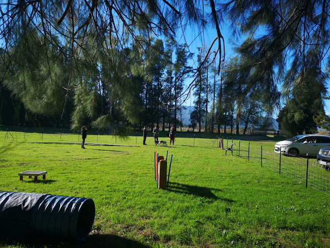 Club d'Education Canine de la Haute-Corse - Bastia