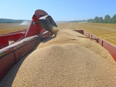 Ellingham Grain Store photo 2