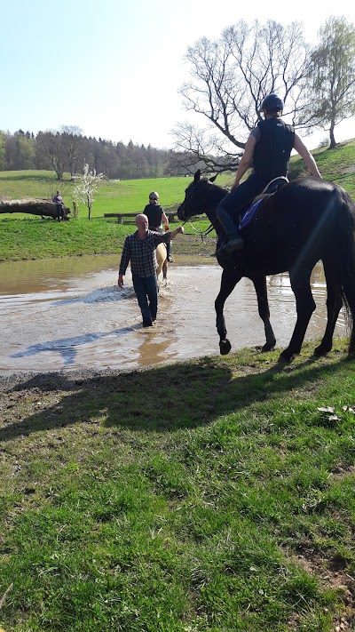 Photos of Riding and Driving Club Holzerode e.V.