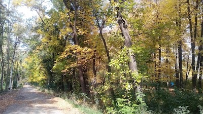 Photos of Экстрим-парк Freedom