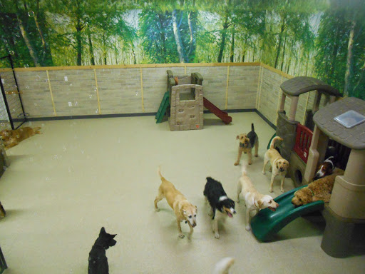 The Dog House Resort & Spa Gallery - United States