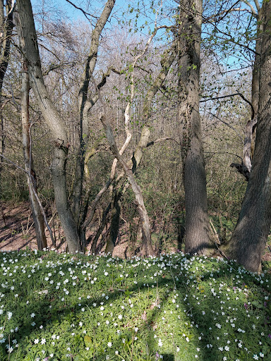 Blocksberg - Visual