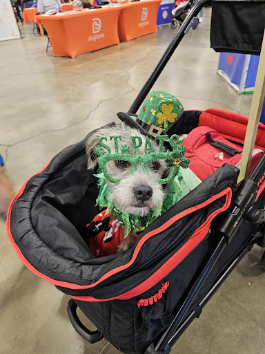 Super Pet Expo - Edison (NJ) and Chantilly (VA) - Thumbnail