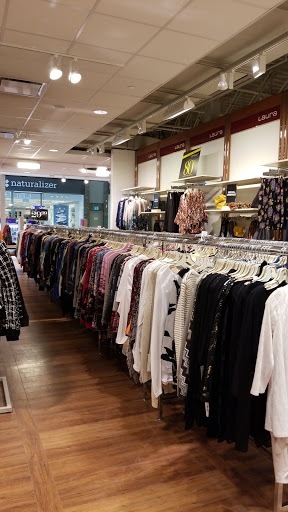 Laura Liquidation - Visual