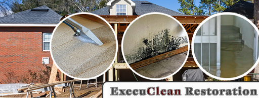 Avatar for Execuclean Sanitizing